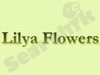Lilya Flowers 